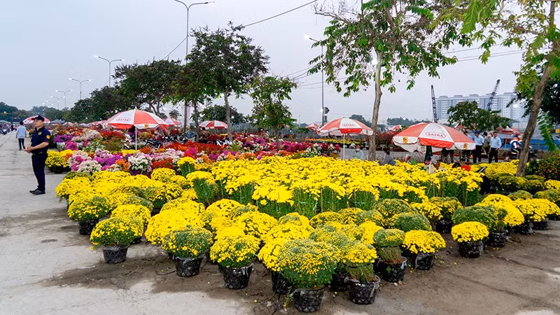 binh-dien-2.jpg