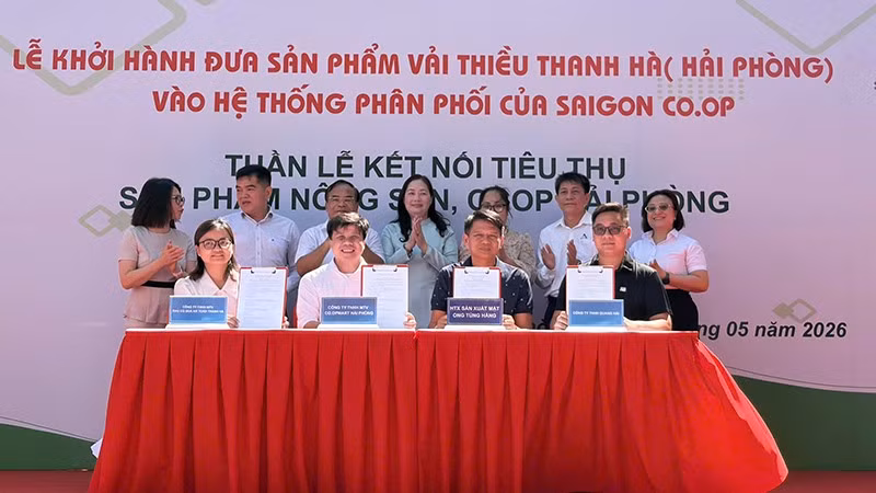 Đại diện Saigon Co.op cùng các doanh nghiệp, hợp tác xã và nhà cung cấp ký kết hợp tác tiêu thụ nông sản, hàng OCOP Hải Phòng.