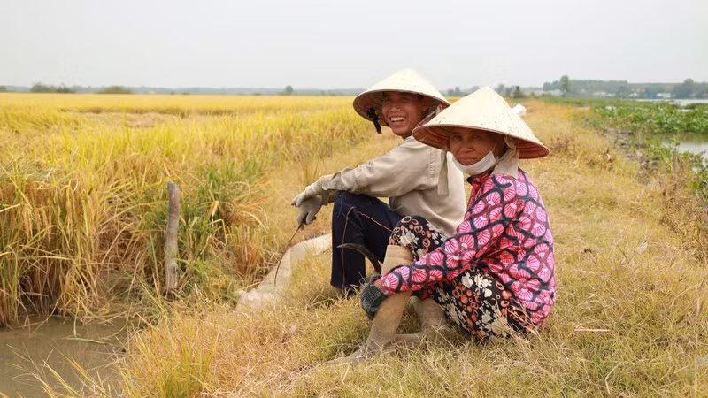 Nông dân Tây Ninh với niềm vui được mùa. (Ảnh CTV)