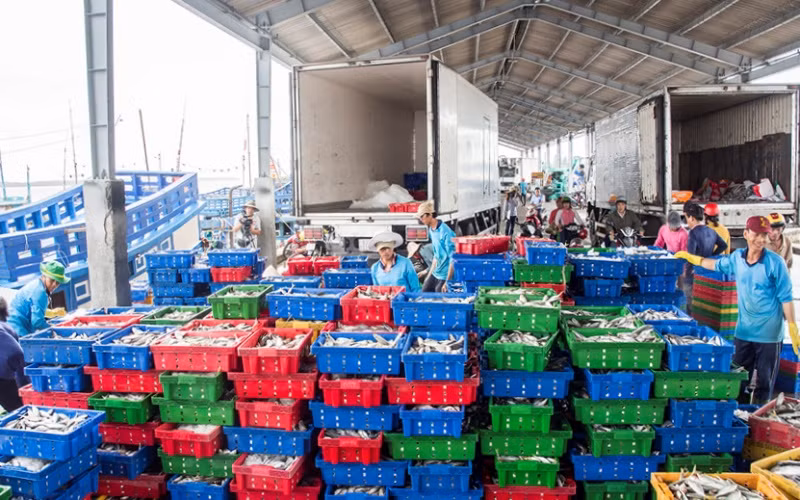Hoạt động cảng cá Trần Đề (Sóc Trăng) đang được mở rộng.