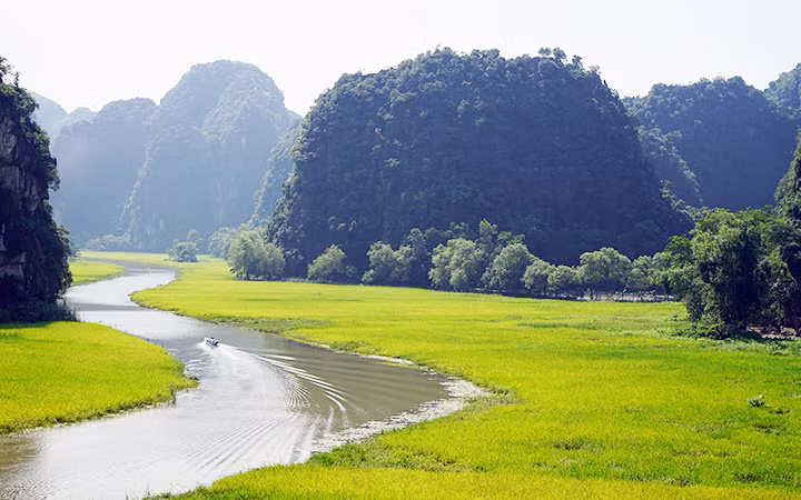 Cánh đồng lúa Tam Cốc bên dòng sông Ngô Đồng. Ảnh: LÊ HỒNG