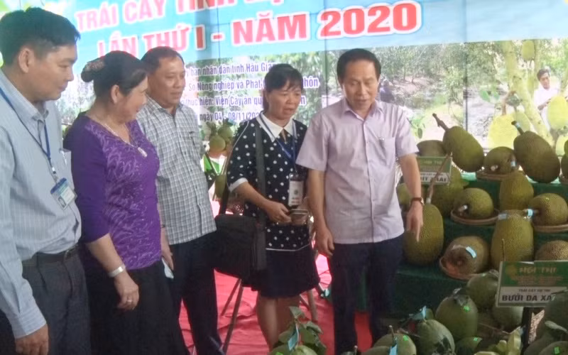 Khai mạc Ngày hội trái cây tỉnh Hậu Giang lần thứ 1 năm 2020 -0