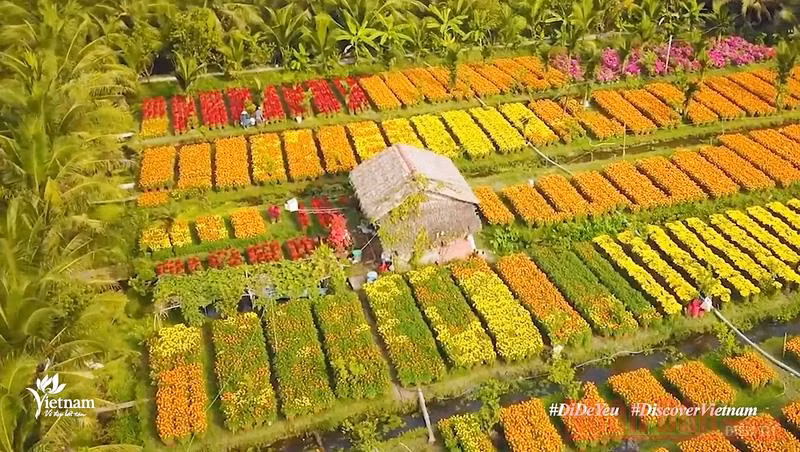 Hòa vào không khí Xuân qua clip “Việt Nam - Điểm đến Văn hóa và Ẩm thực” -0