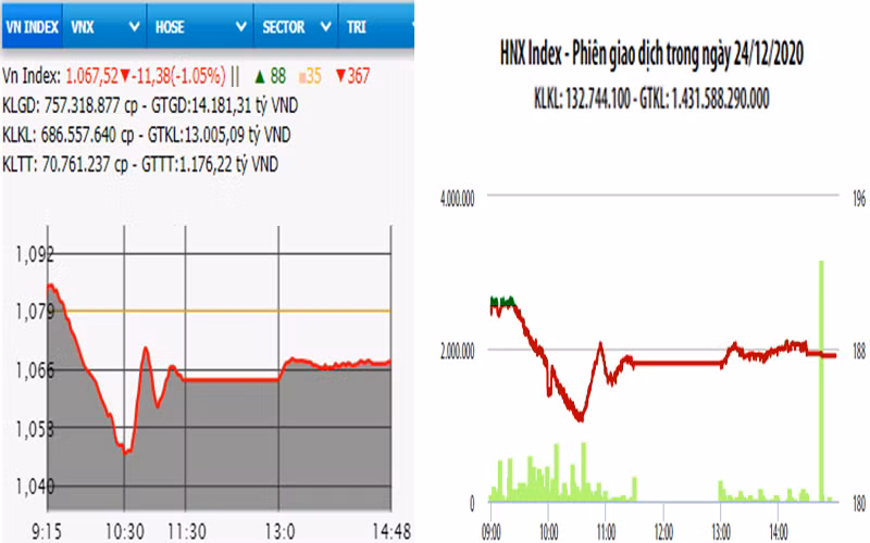 Diễn biến VN-Index và HNX-Index, phiên giao dịch ngày 24-12. 
