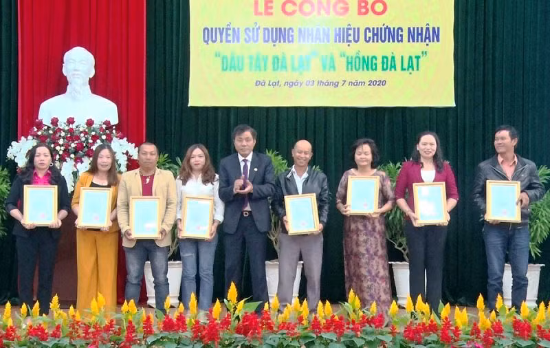 UBND TP Đà Lạt trao quyền sử dụng nhãn hiệu “Dâu tây Đà Lạt” và “Hồng Đà Lạt” cho các tổ chức, cá nhân.