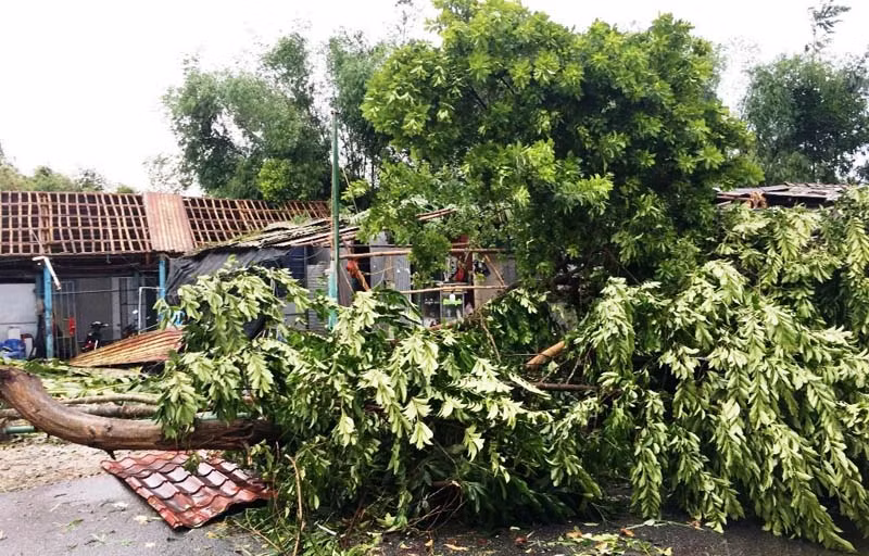 Thêm hai người tử vong liên quan bão số 5 tại Thừa Thiên Huế -0