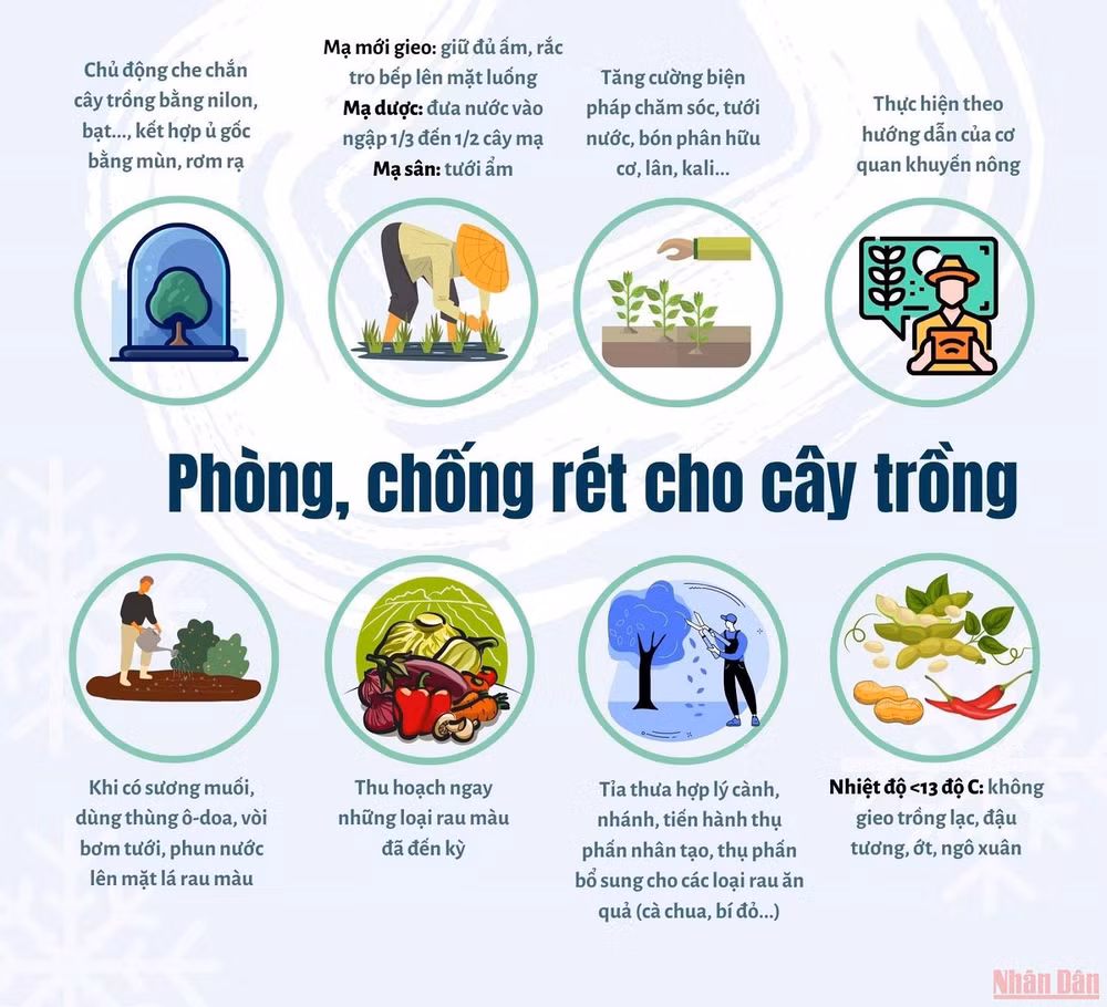 Giữ ấm hiệu quả trong ngày rét đậm, rét hại -0