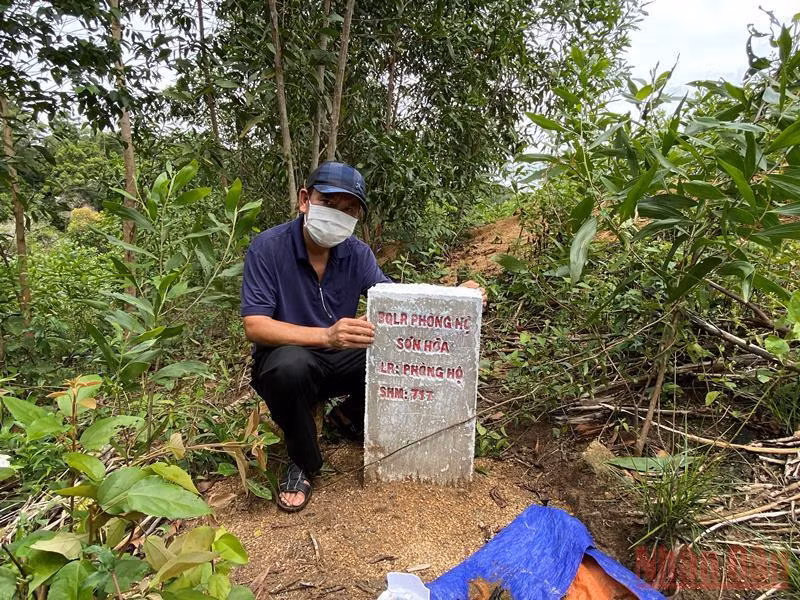 Các cột mốc do Ban Quản lý rừng phòng hộ Sơn Hòa mới cắm, khẳng định ranh giới rừng phòng hộ nhưng đã bị phá để trồng keo.