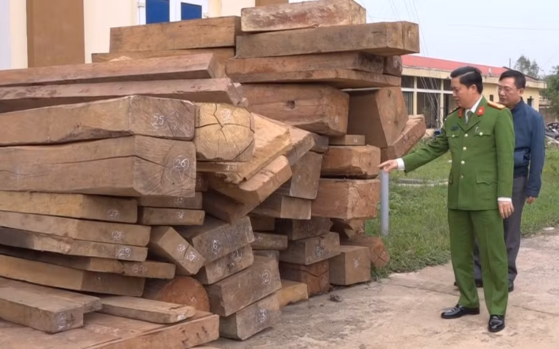 Công an Quảng Bình thu giữ 30m3 gỗ bị các đối tượng khai thác trái phép.
