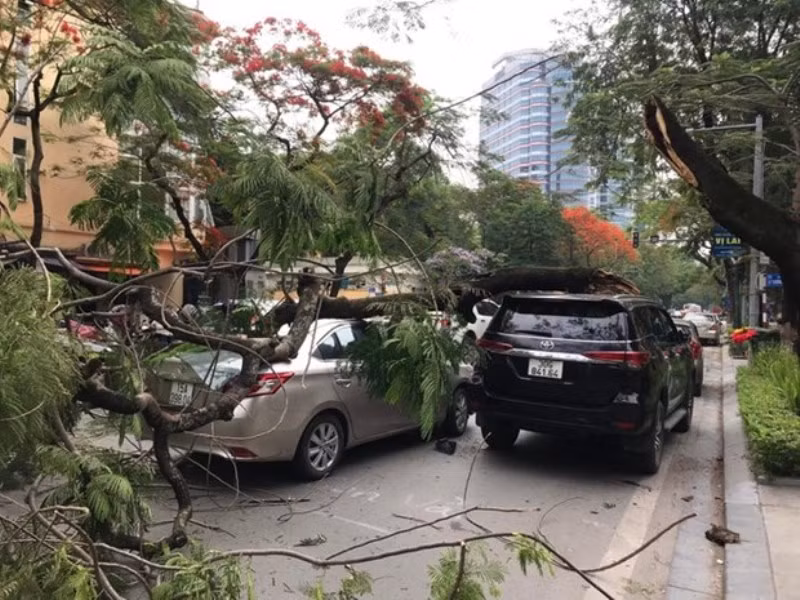 Hiện trường vụ việc. (Nguồn: anninhthudo.vn)