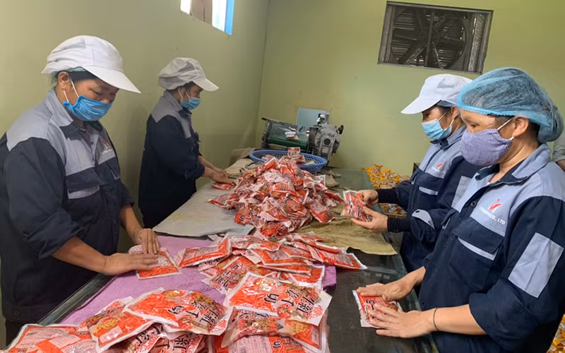 Đóng gói sản phẩm củ kiệu xuất khẩu sang Nhật Bản tại Công ty TNHH Việt Nam Misaki (Bắc Kạn). Ảnh: Tuấn Sơn
