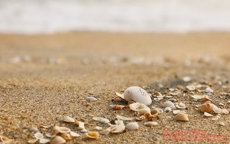 Lênh đênh đầm phá Cầu Hai, cửa biển Tư Hiền -1