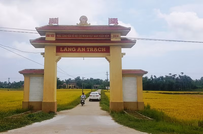 Niềm vui trên những cánh đồng Quảng Trị -0