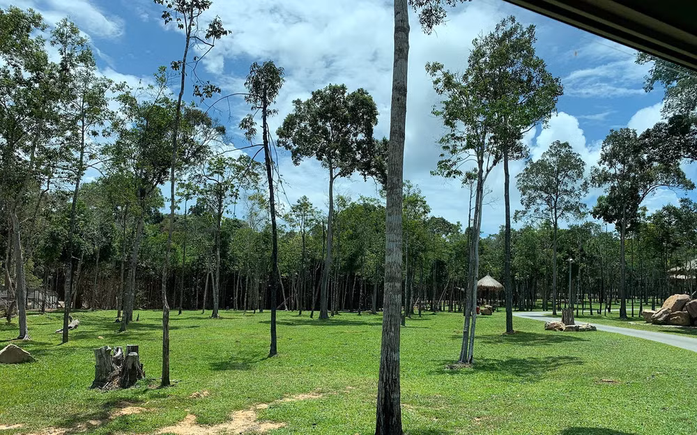 Trải nghiệm công viên động vật hoang dã Safari Phú Quốc -1