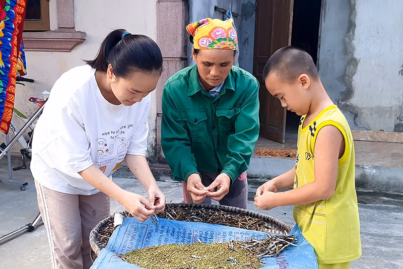 Em Đinh Thị Minh Trang thỏa mong ước giảng đường đại học nhờ sự tiếp sức, hỗ trợ kịp thời của Quỹ Hỗ trợ học sinh đạt điểm cao, hoàn cảnh đặc biệt khó khăn vào học đại học. 