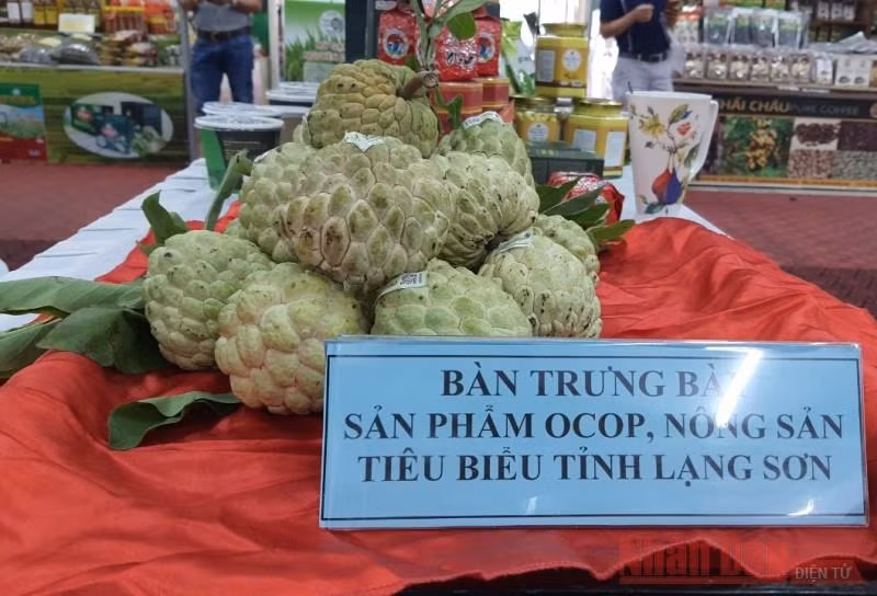 Tổng giá trị sản xuất na thu được ước đạt 1.200 tỷ đồng.
