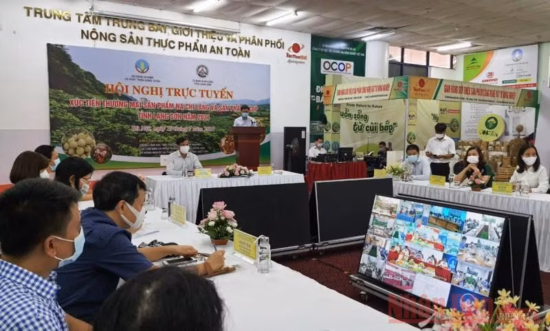 Thúc đẩy tiêu thụ na Chi Lăng và sản phẩm OCOP tỉnh Lạng Sơn -0