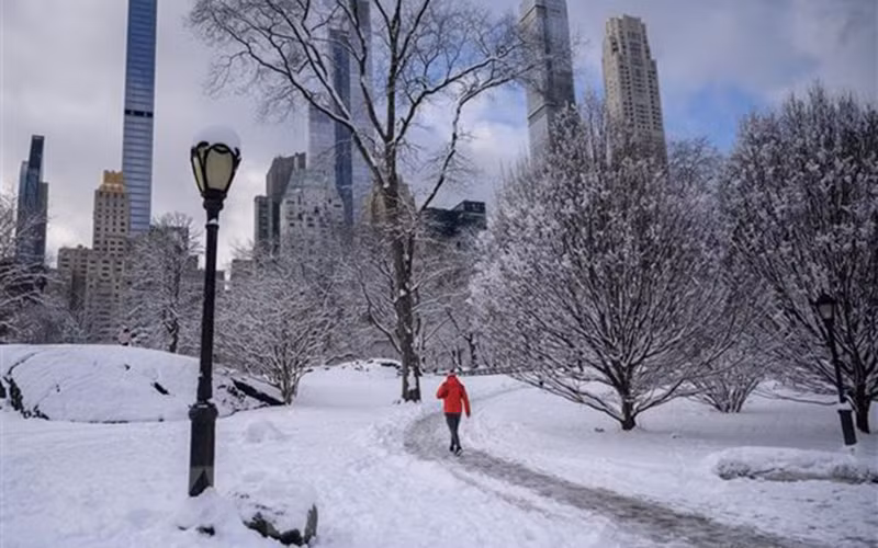 Tuyết phủ trắng tại New York, Mỹ, ngày 7/1. (Ảnh minh họa: AFP/TTXVN)