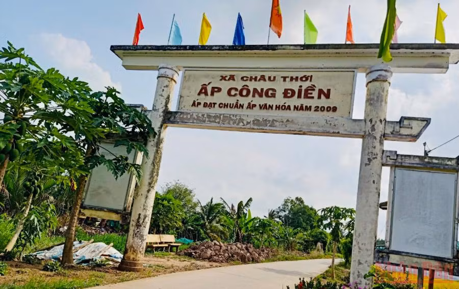 Ấp Công Điền (xã Châu Thới, huyện Vĩnh Lợi, Bạc Liêu) - nơi vụ việc xảy ra. 
