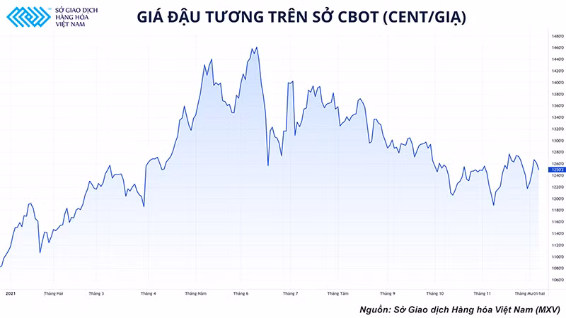 “Miếng bánh” xuất khẩu đậu tương vào Trung Quốc đanh bị giành giật, Mỹ phong độ giảm sút -0