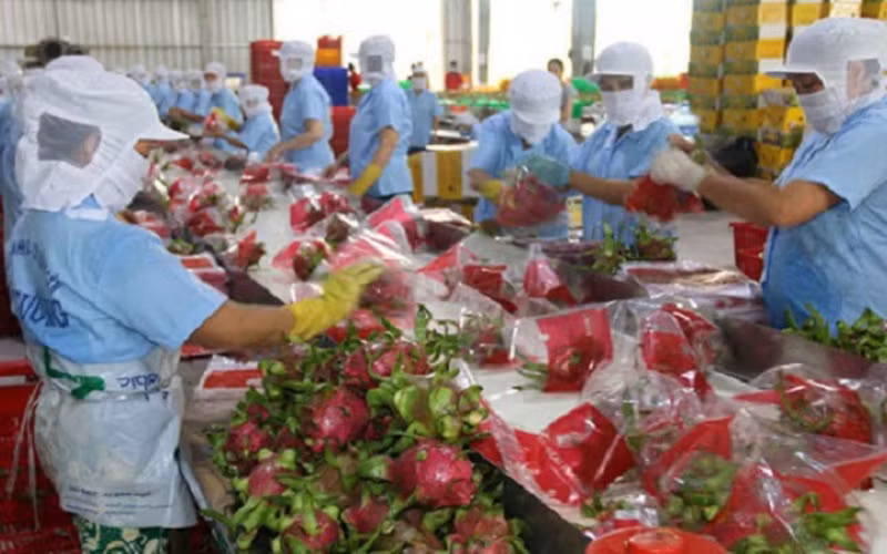 Xuất khẩu rau quả trong quý I-2021 ước đạt 944 triệu USD.