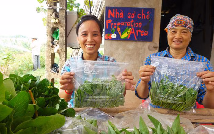 Tổ chức Rikolto của Bỉ hợp tác với các đối tác, tổ chức trong nước giúp nông dân xây dựng năng lực sản xuất và quảng bá rau an toàn (Ảnh minh họa: Rikolto Việt Nam).