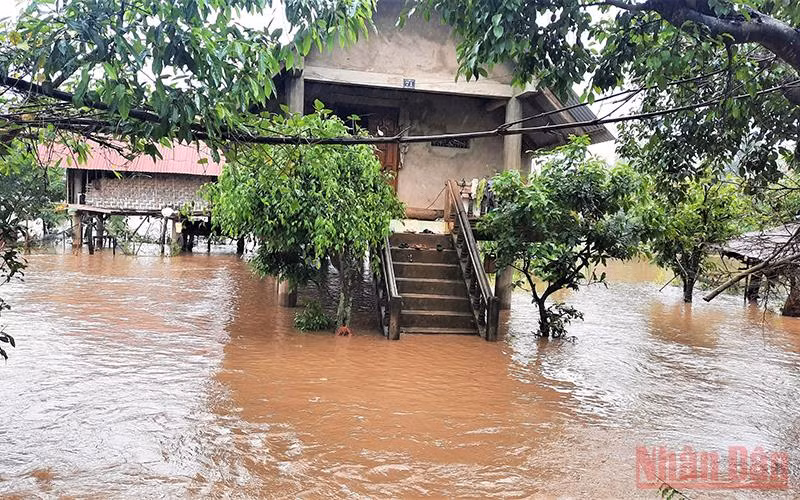 Nhiều nhà dân ở huyện Lắk bị nước lũ cô lập.