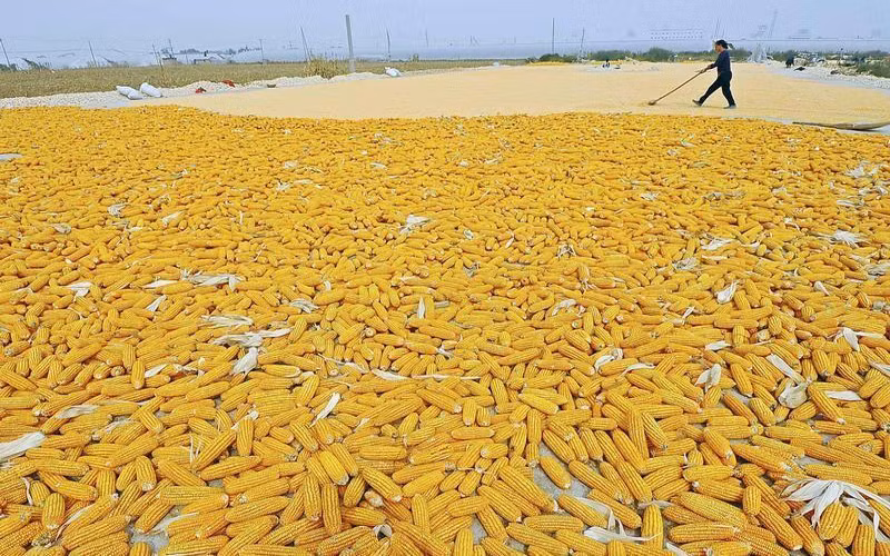 Ảnh minh họa. (Ảnh: Reuters)