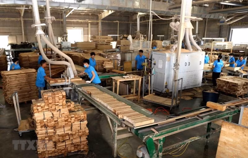 Tám tháng đầu năm 2021, xuất khẩu gỗ và lâm sản ước đạt 11,2 tỷ USD, tăng 42,7% so với cùng kỳ năm 2020. (ảnh TTXVN)
