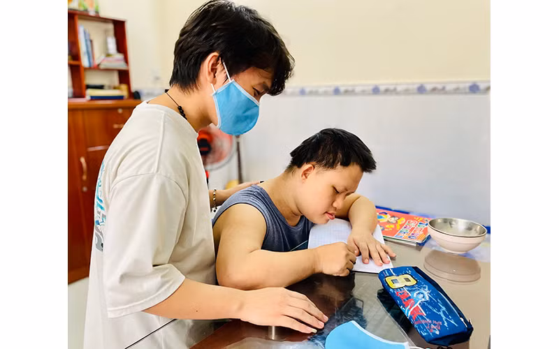 Chuyện của những đóa cúc vàng -0