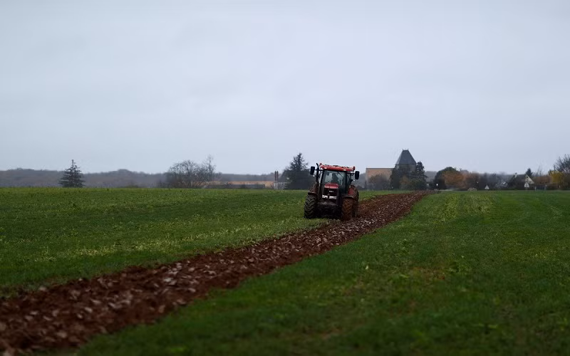 Một cánh đồng ở Villeneuve-sur-Auvers, gần Paris, Pháp. (Ảnh: Reuters)