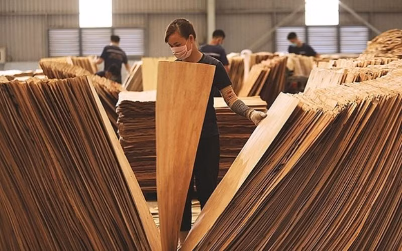 Doanh nghiệp Việt đang phải cạnh tranh trực tiếp với các doanh nhân Trung Quốc trong việc thu mua ván bóc của Việt Nam. Ảnh minh họa. (Nguồn:congthuong.vn)
