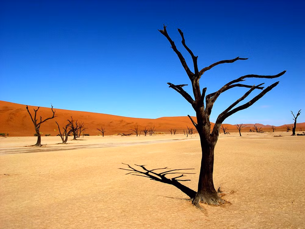Khách quốc tế có thể trở lại sa mạc ngoạn mục Namibia từ 1-9 -0