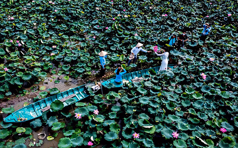 Điểm tham quan đồng sen Tháp Mười. (Ảnh: Hóa Vân)