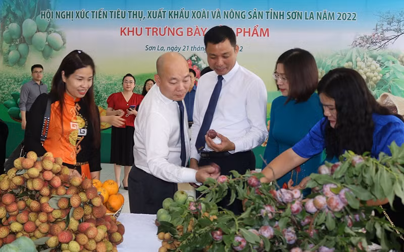 Các đại biểu tham quan gian trưng bày sản phẩm nông sản tỉnh Sơn La.