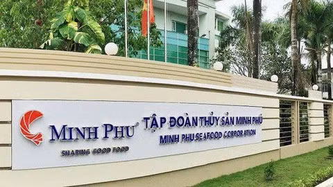 Hoa Kỳ không áp thuế chống bán phá giá với tôm Việt Nam