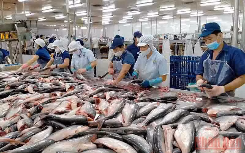 Thủy sản là một trong những mặt hàng xuất khẩu chủ lực.