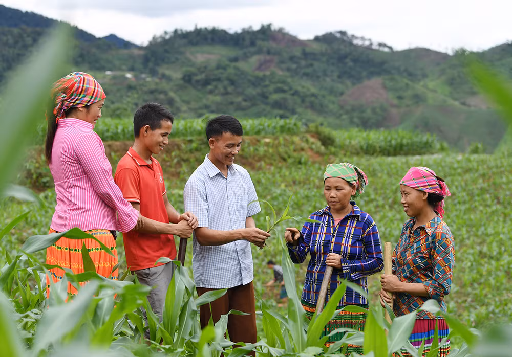 Những “Hạt giống đỏ” nơi vùng chiến khu xưa -0