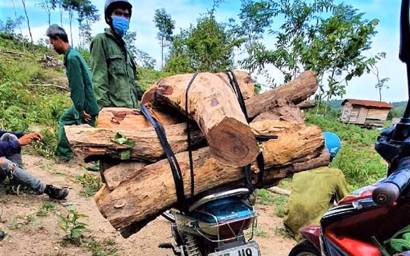 Lực lượng quản lý, bảo vệ rừng Khu BTTN Ea Sô bắt giữ, tịch thu phương tiện và tang vật đưa về đơn vị xử lý.