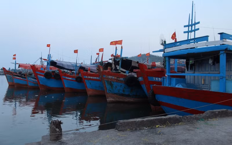 Khó khăn nghề cá ở Thanh Hóa -0