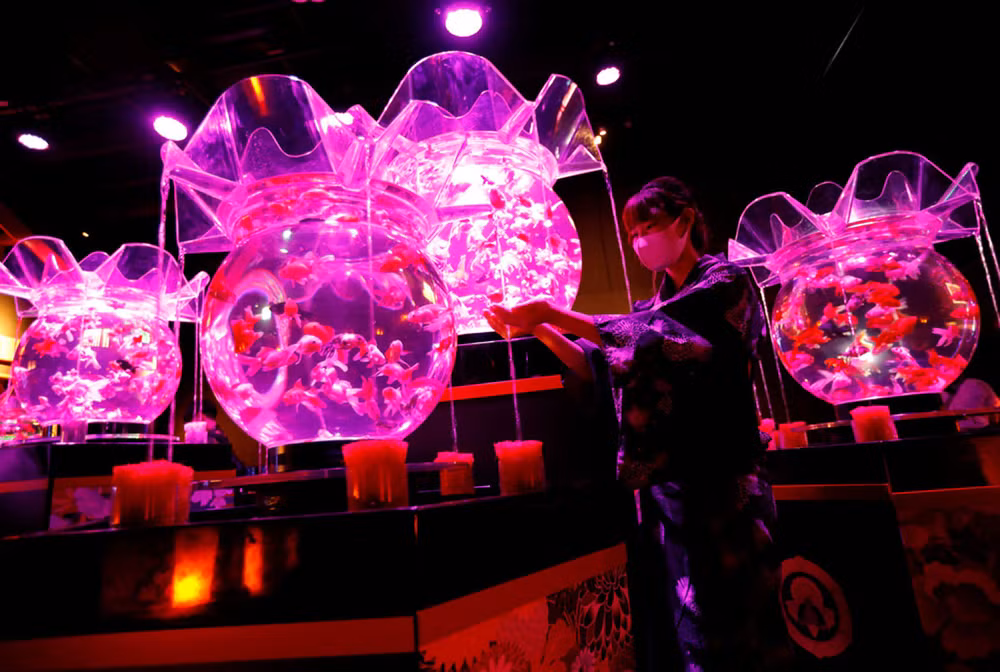 Huyền bí sắc màu Art Aquarium ở thủ đô Tokyo -1