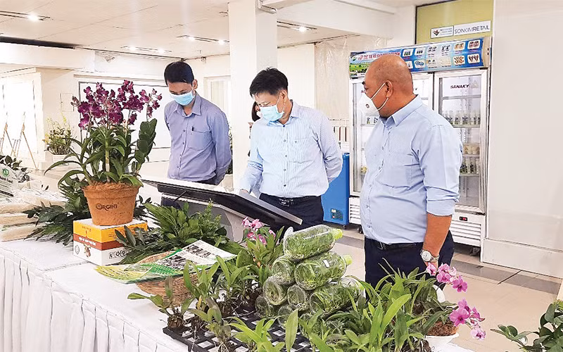 Đại biểu xem các sản phẩm nông nghiệp tiêu biểu được trưng bày tại Lễ tuyên dương Nông dân tiêu biểu TP Hồ Chí Minh năm 2021. 