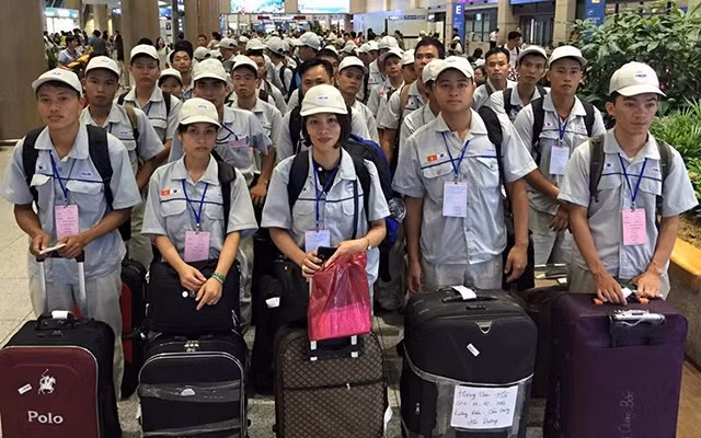 Lao động đi làm việc ở nước ngoài (Ảnh minh họa: Dolab).