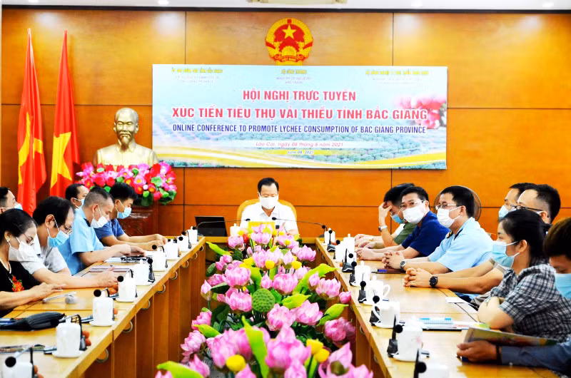 Lào Cai tạo thuận lợi nhất cho xuất khẩu vải thiều qua Cửa khẩu Kim Thành sang thị trường Vân Nam (Trung Quốc).