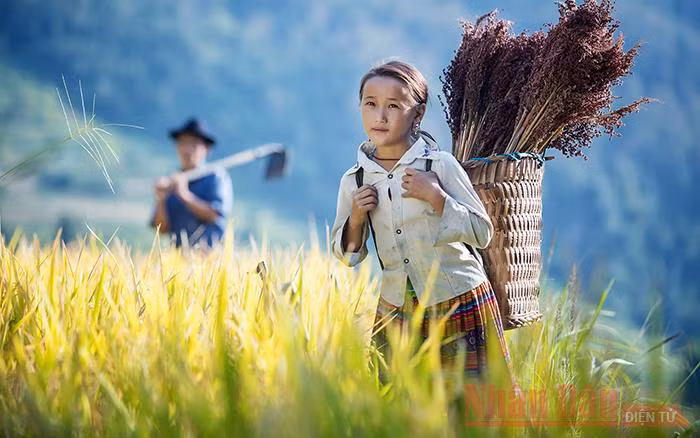 Một bé gái ở Hà Giang (Ảnh: Nguyễn Minh Đức).