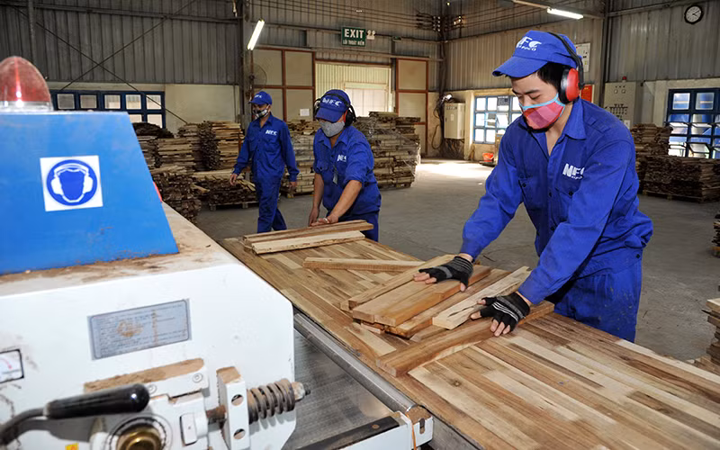 Sản xuất và đóng gói gỗ xuất khẩu ở Công ty cổ phần Lâm sản Nam Ðịnh (tỉnh Nam Ðịnh). Ảnh: VIỆT THẮNG
