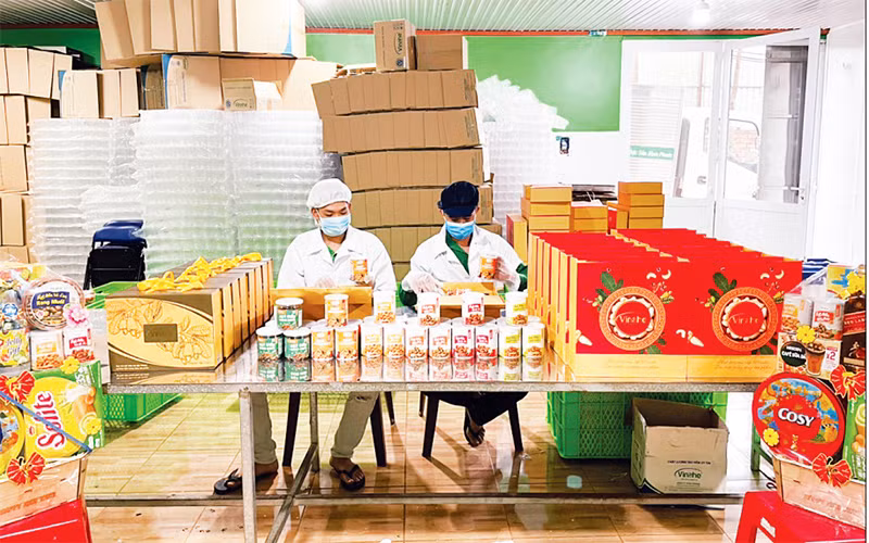 Chế biến hạt điều tại Công ty TNHH Vinahe (thị xã Phước Long, Bình Phước).