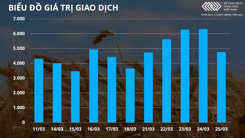 Gián đoạn nguồn cung giữa căng thẳng ở châu Âu đẩy giá dầu thô và nông sản tăng vọt -0