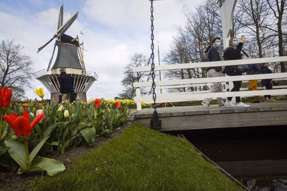 Hà Lan chào đón du khách vườn hoa nổi tiếng Keukenhof -2