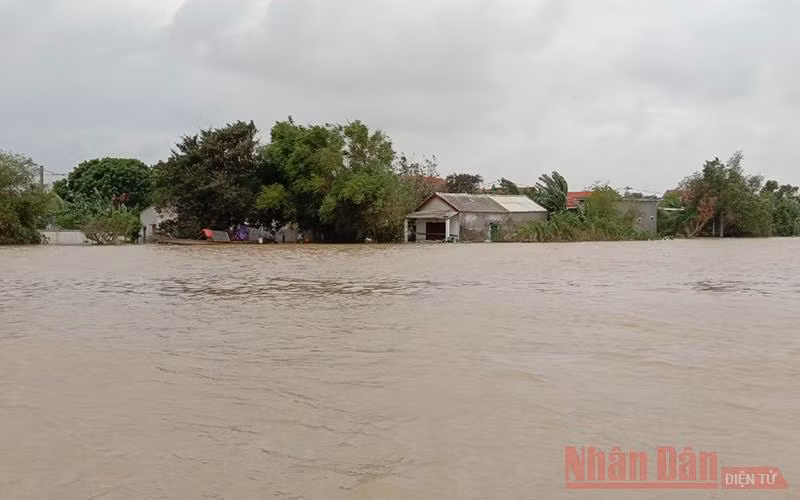 Người dân ở ven sông Kiến Giang, huyện Lệ Thủy (Quảng Bình) đón ba trận lũ trong tám ngày. Ảnh: HƯƠNG GIANG.
